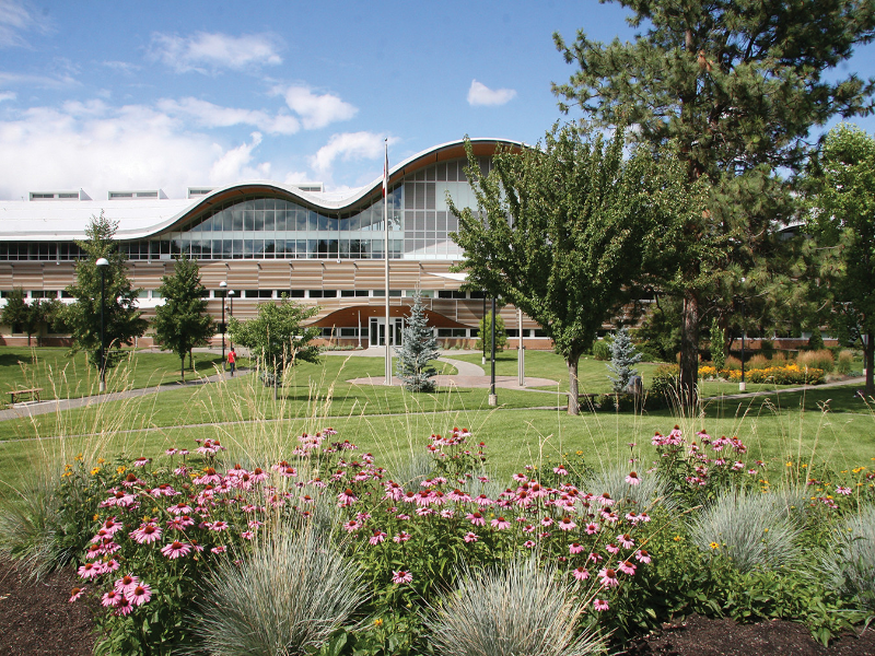 The Campus Greens