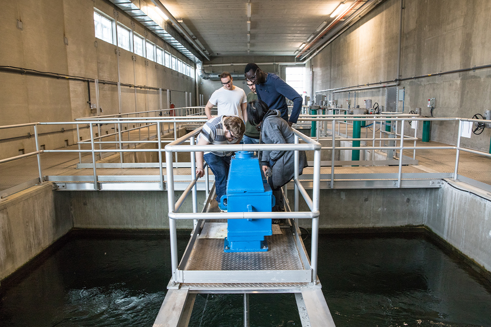 students standing on platform over water