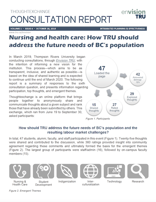 Consultation Issue 6